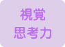 視覚思考力