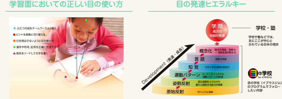 正しい目の使い方