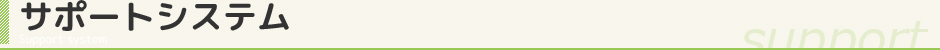 サポートシステム